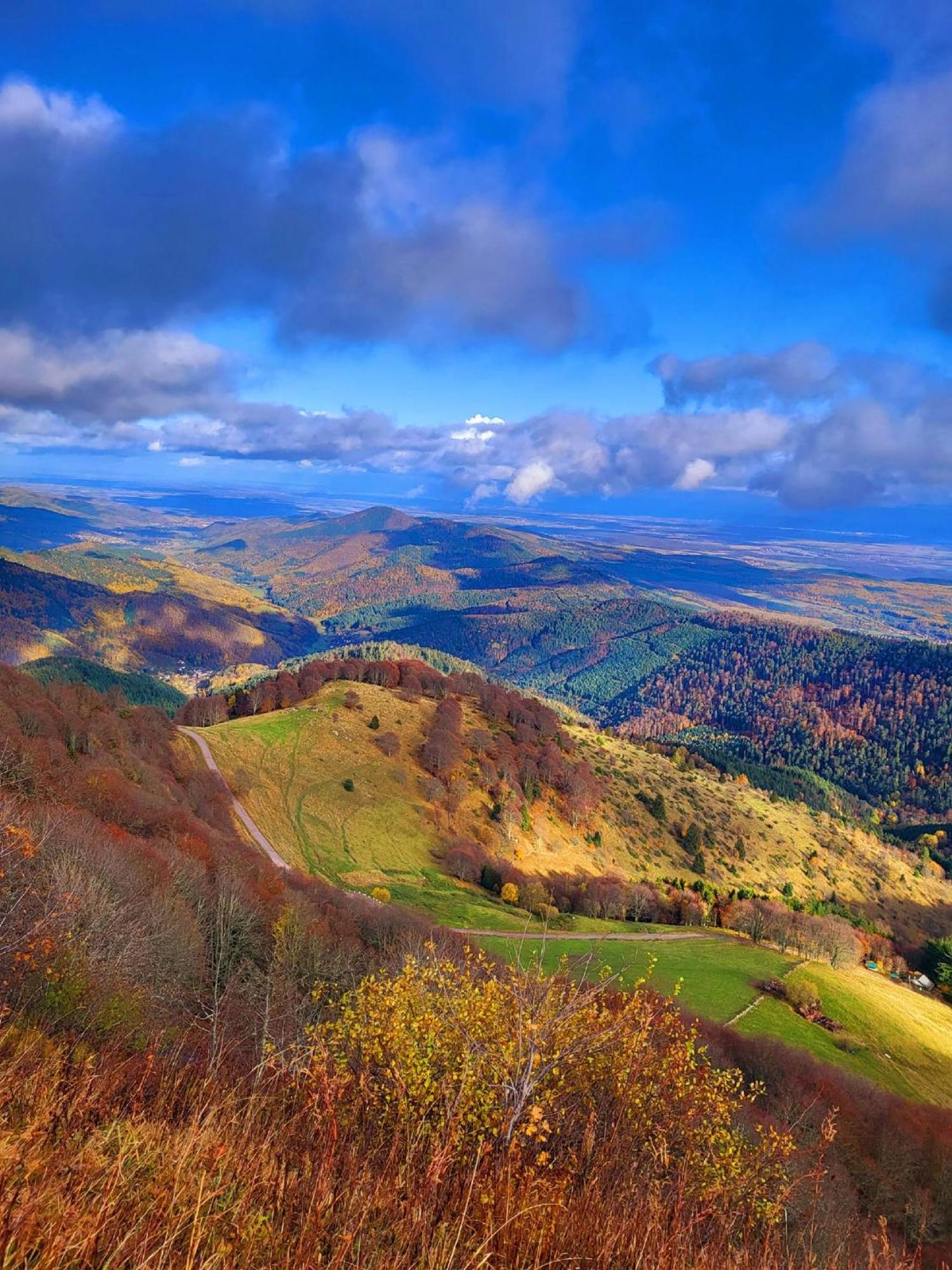 Le Panorama Du Murat Mulhouse Riedisheim 68 Haut-Rhin Alsace Saint-Louis Bagian luar foto