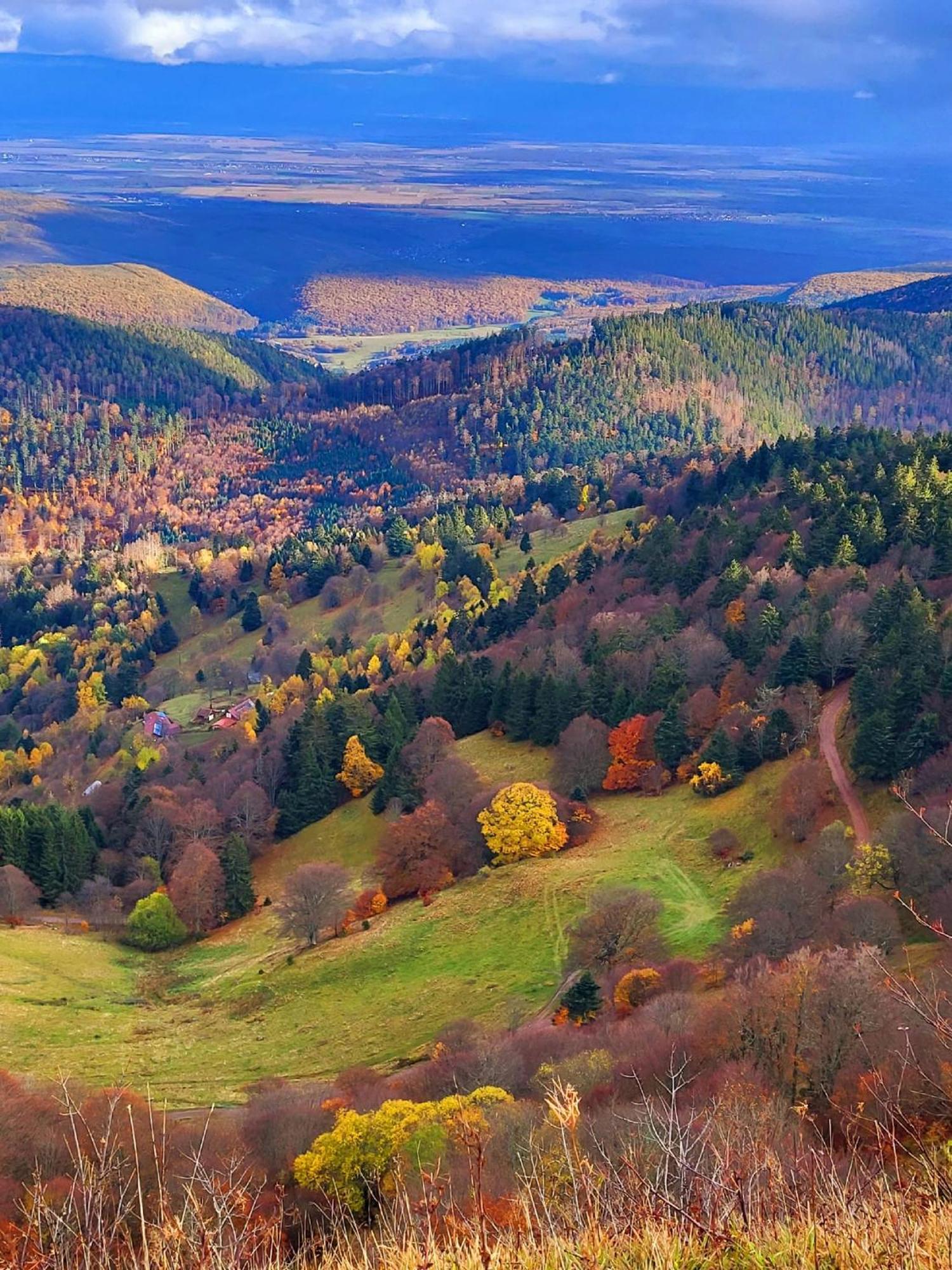 Le Panorama Du Murat Mulhouse Riedisheim 68 Haut-Rhin Alsace Saint-Louis Bagian luar foto